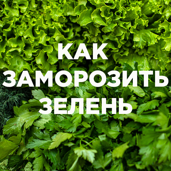 Как заморозить зелень: 3 лучших способа Как заморозить зелень: 3 лучших способа